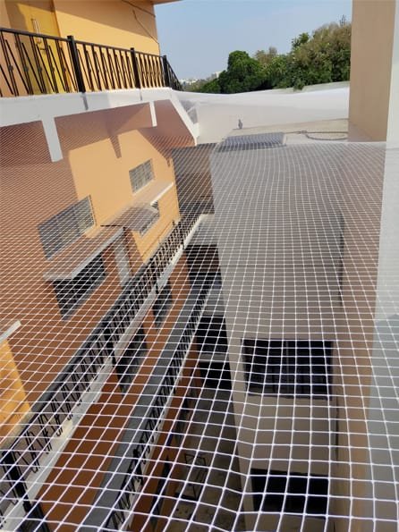 Temple bird net installation