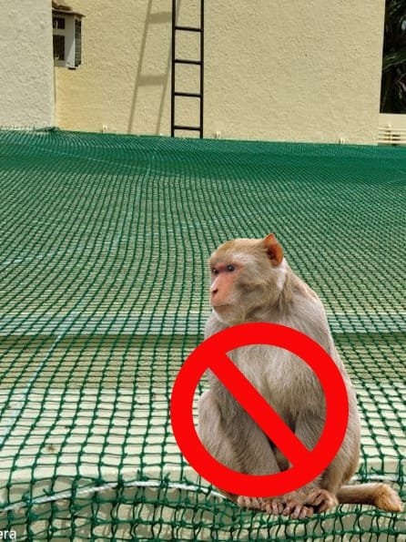 Monkey safety nets installation in Bangalore