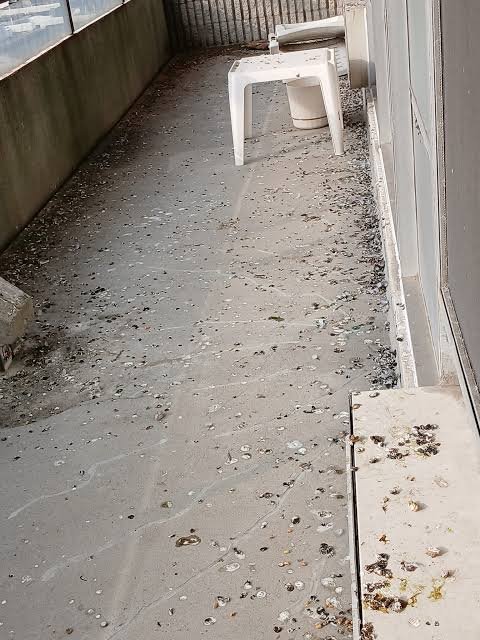 Open apartment balcony requiring safety nets