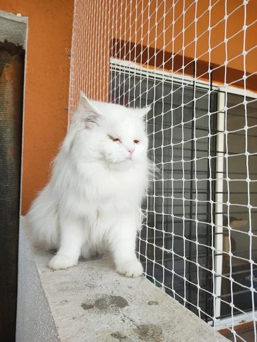Pet safety nets for balconies